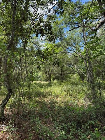 LEWIS LANE, Webster, FL 33597