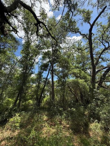 LEWIS LANE, Webster, FL 33597