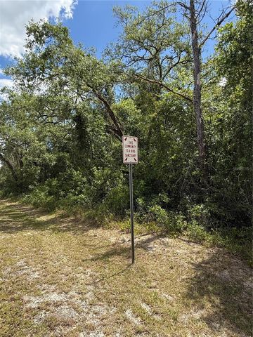 LEWIS LANE, Webster, FL 33597