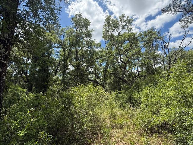 LEWIS LANE, Webster, FL 33597