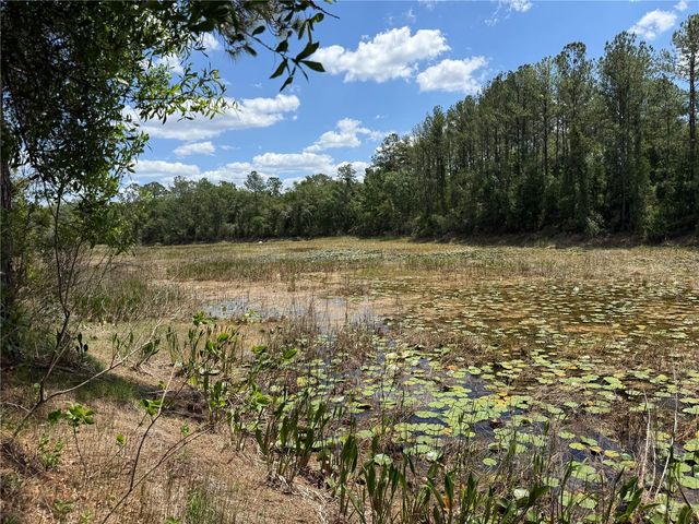 LEWIS LANE, Webster, FL 33597