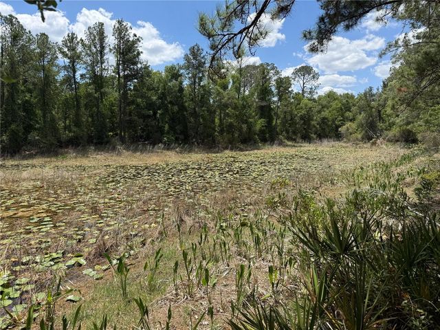 LEWIS LANE, Webster, FL 33597