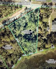 LEWIS LANE, Webster, FL 33597