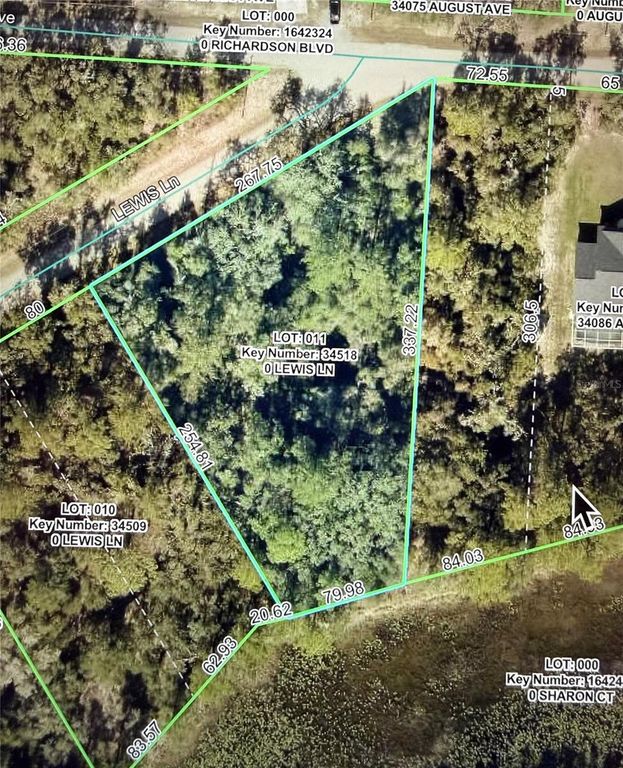 LEWIS LANE, Webster, FL 33597
