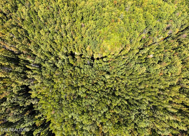 Tiffany Lane, Jamestown, TN 38556