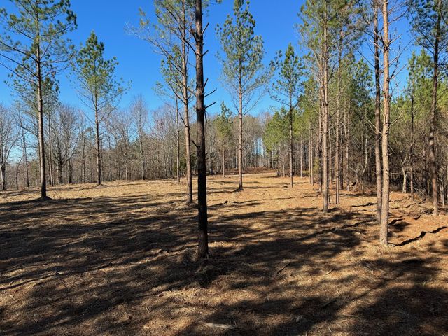 591 Topsy Rd, Hohenwald, TN 38462
