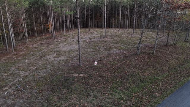 591 Topsy Rd, Hohenwald, TN 38462