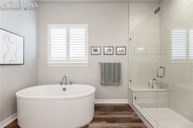124 Kitselman Drive, Castle Rock, CO 80104