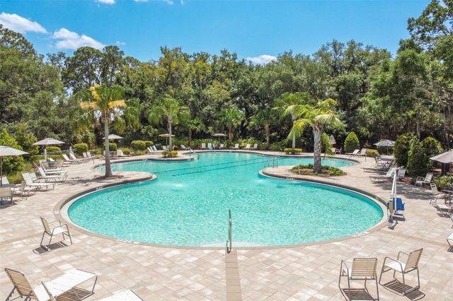 10008 LAST LIGHT GLEN, Parrish, FL 34219