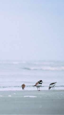 1422 W Meadows Circle 1422, Boynton Beach, FL 33436