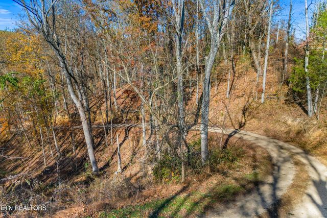 2895 Looney Rd, Parrottsville, TN 37843