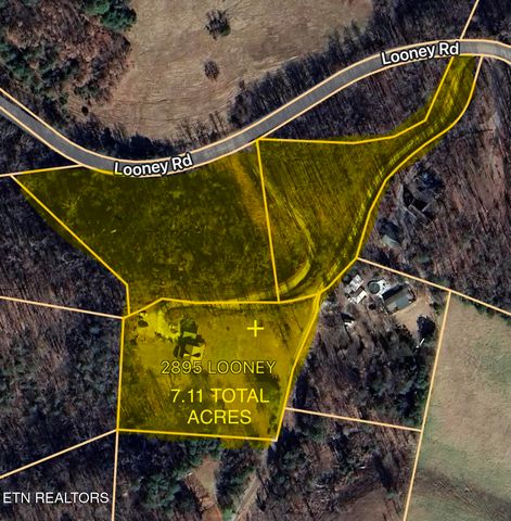 2895 Looney Rd, Parrottsville, TN 37843
