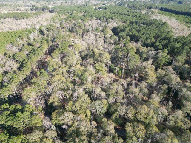 Lot 1 Livingston Farms Lane, Livingston, LA 70754