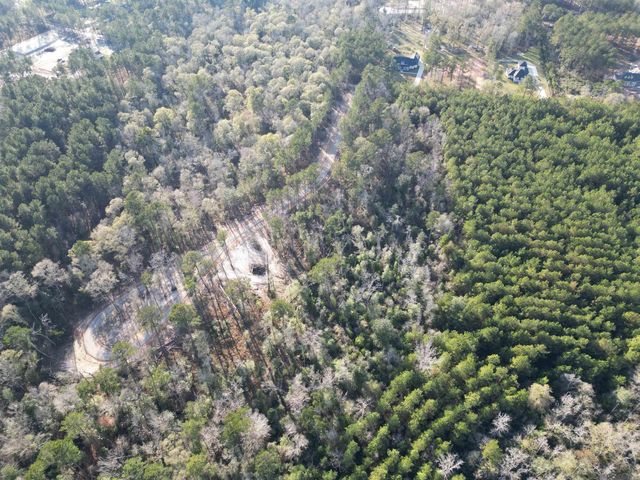 Lot 1 Livingston Farms Lane, Livingston, LA 70754