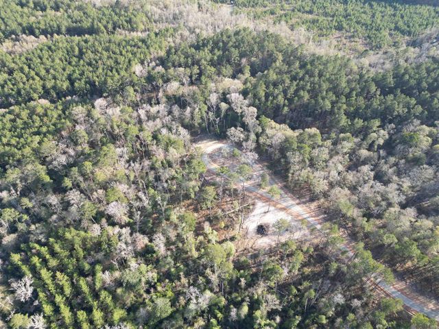 Lot 1 Livingston Farms Lane, Livingston, LA 70754