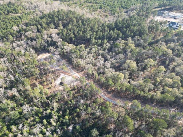 Lot 1 Livingston Farms Lane, Livingston, LA 70754