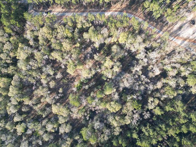 Lot 1 Livingston Farms Lane, Livingston, LA 70754