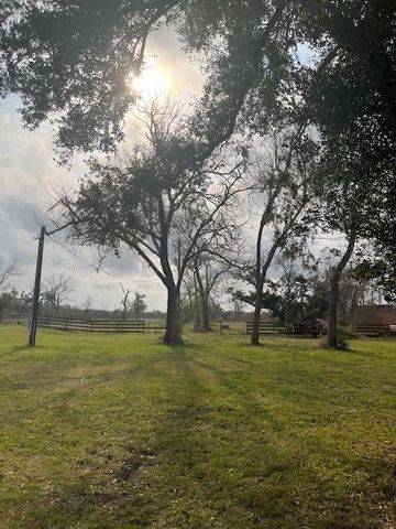 4928 County Road 819, Brazoria, TX 77422
