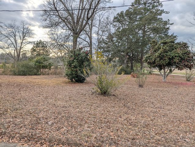 2550 Bodiford Rd., Pansey, AL 36370