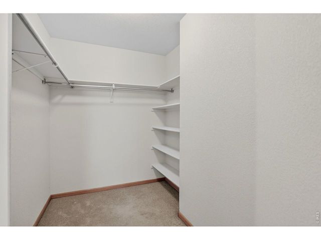 115 Flat Iron St, Severance, CO 80550