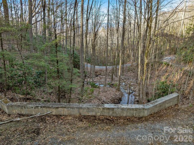 119 Wildflower Cove Drive, Swannanoa, NC 28778