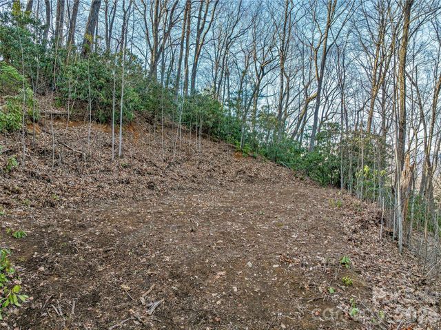 119 Wildflower Cove Drive, Swannanoa, NC 28778