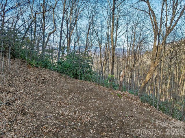119 Wildflower Cove Drive, Swannanoa, NC 28778