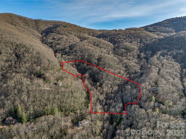 119 Wildflower Cove Drive, Swannanoa, NC 28778
