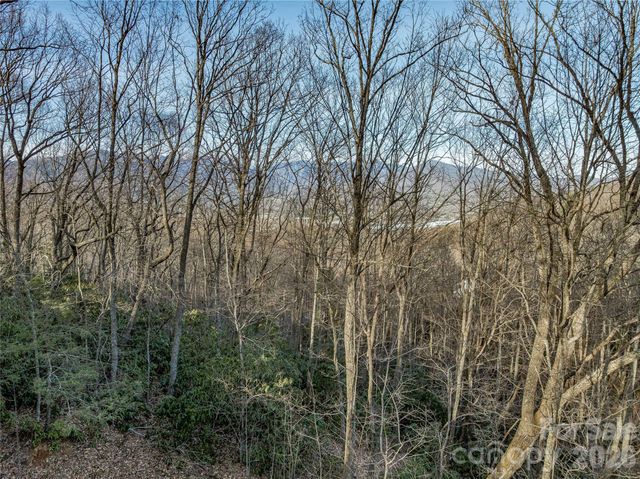 119 Wildflower Cove Drive, Swannanoa, NC 28778