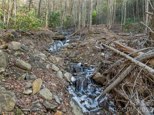 119 Wildflower Cove Drive, Swannanoa, NC 28778