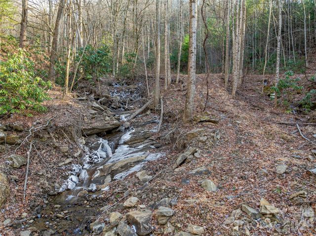 119 Wildflower Cove Drive, Swannanoa, NC 28778