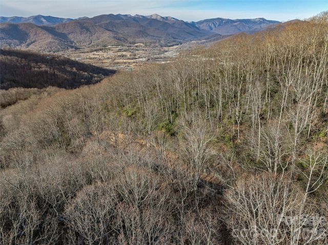 119 Wildflower Cove Drive, Swannanoa, NC 28778