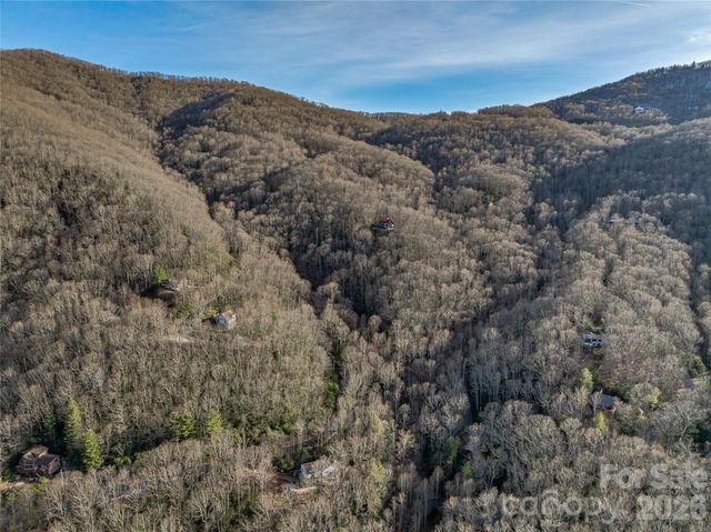 119 Wildflower Cove Drive, Swannanoa, NC 28778