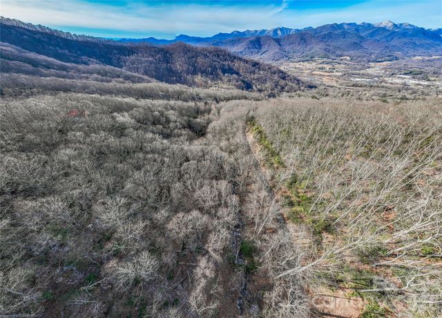 119 Wildflower Cove Drive, Swannanoa, NC 28778