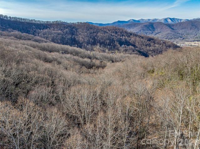 119 Wildflower Cove Drive, Swannanoa, NC 28778