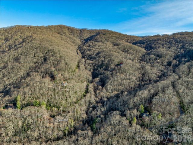 119 Wildflower Cove Drive, Swannanoa, NC 28778
