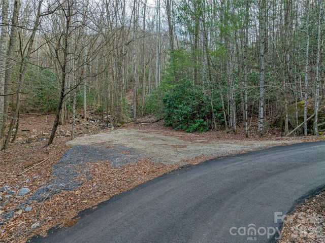 119 Wildflower Cove Drive, Swannanoa, NC 28778