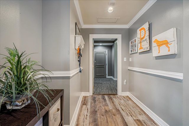 655 S Riverside Dr Apt 202, Memphis, TN 38103