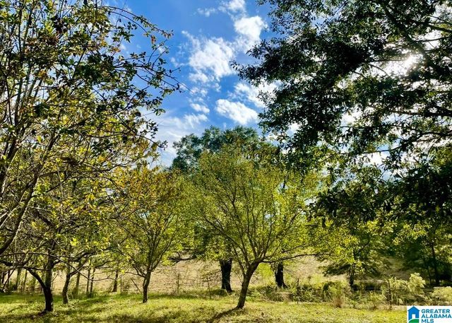 1749 MCCOLLUM CHURCH ROAD, Lineville, AL 36266