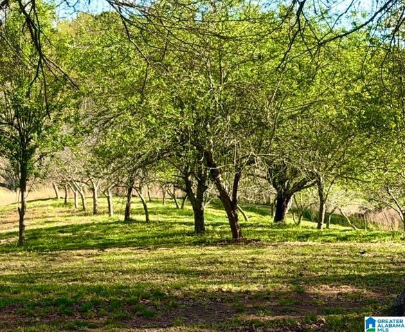 1749 MCCOLLUM CHURCH ROAD, Lineville, AL 36266