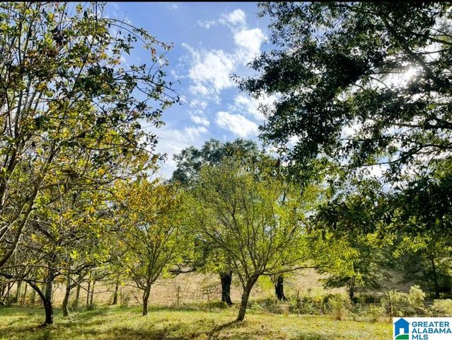 1749 MCCOLLUM CHURCH ROAD, Lineville, AL 36266