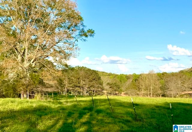 1749 MCCOLLUM CHURCH ROAD, Lineville, AL 36266