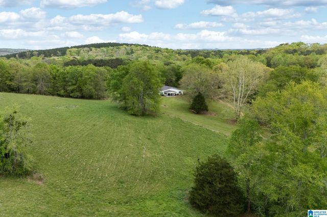1749 MCCOLLUM CHURCH ROAD, Lineville, AL 36266