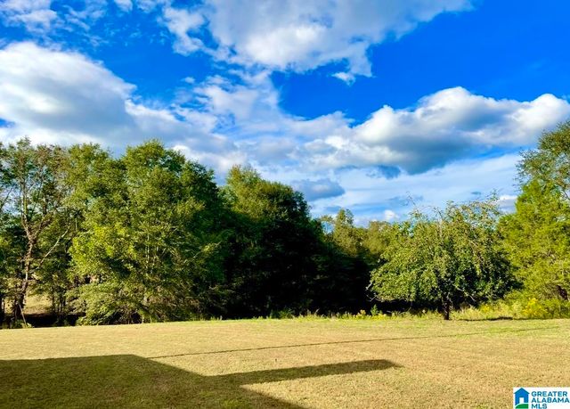 1749 MCCOLLUM CHURCH ROAD, Lineville, AL 36266