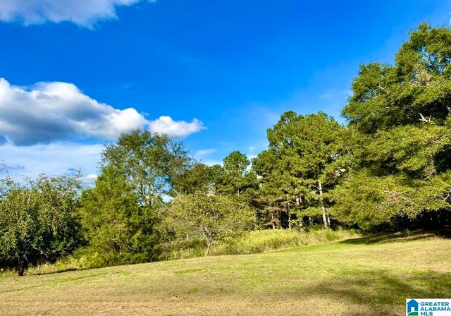1749 MCCOLLUM CHURCH ROAD, Lineville, AL 36266