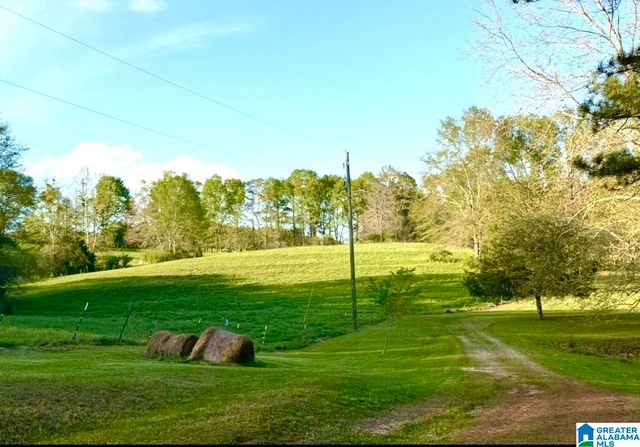1749 MCCOLLUM CHURCH ROAD, Lineville, AL 36266
