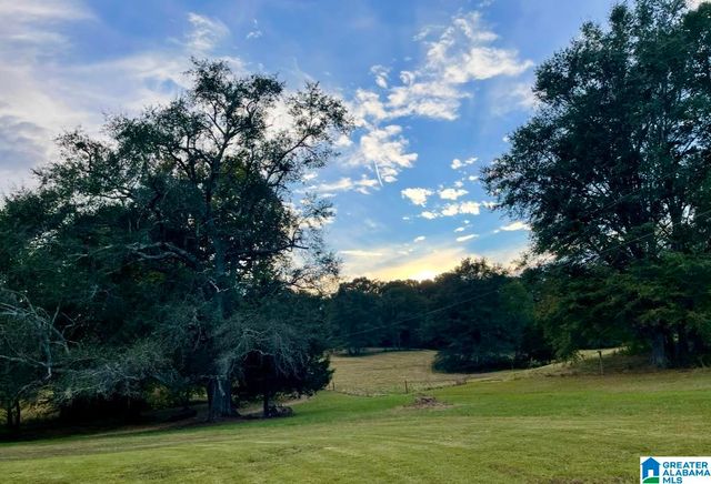 1749 MCCOLLUM CHURCH ROAD, Lineville, AL 36266