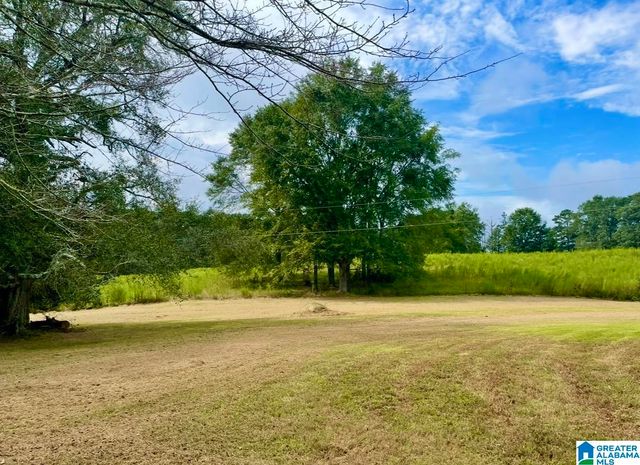 1749 MCCOLLUM CHURCH ROAD, Lineville, AL 36266