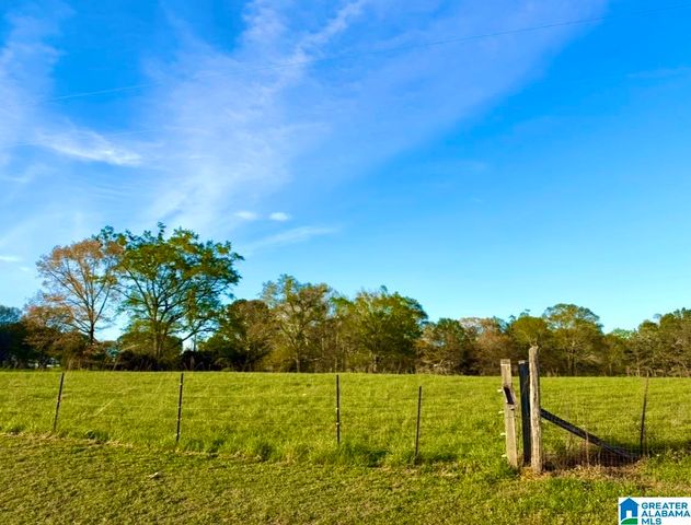 1749 MCCOLLUM CHURCH ROAD, Lineville, AL 36266