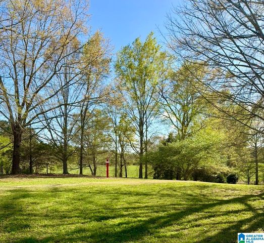 1749 MCCOLLUM CHURCH ROAD, Lineville, AL 36266